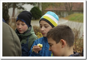 Apfelprojekt (10 von 27)