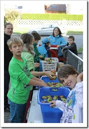 Apfelprojekt (8 von 15)