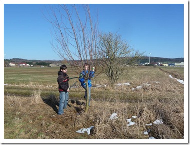 Weidenschnitt (6 von 7)