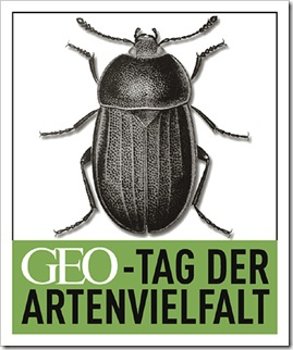 Logo_GEO-Tag_Internet