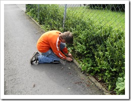 Sozialer Tag (105 von 185)