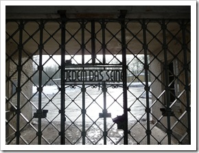 Buchenwald (121 von 126)