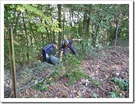 Hochsprung-50 Hochsprung-50