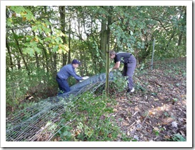 Hochsprung-53 Hochsprung-53