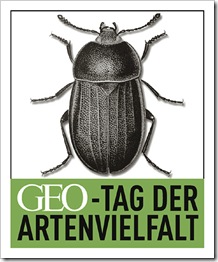 Logo_GEO-Tag_Internet