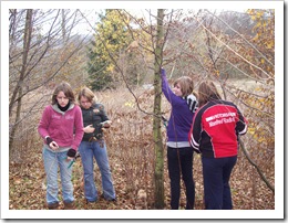 Praktikum Klasse 8 023