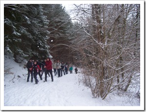 Schulwald (12 von 12)