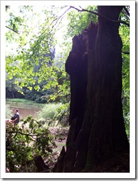 Tag der Artenvielfalt 035